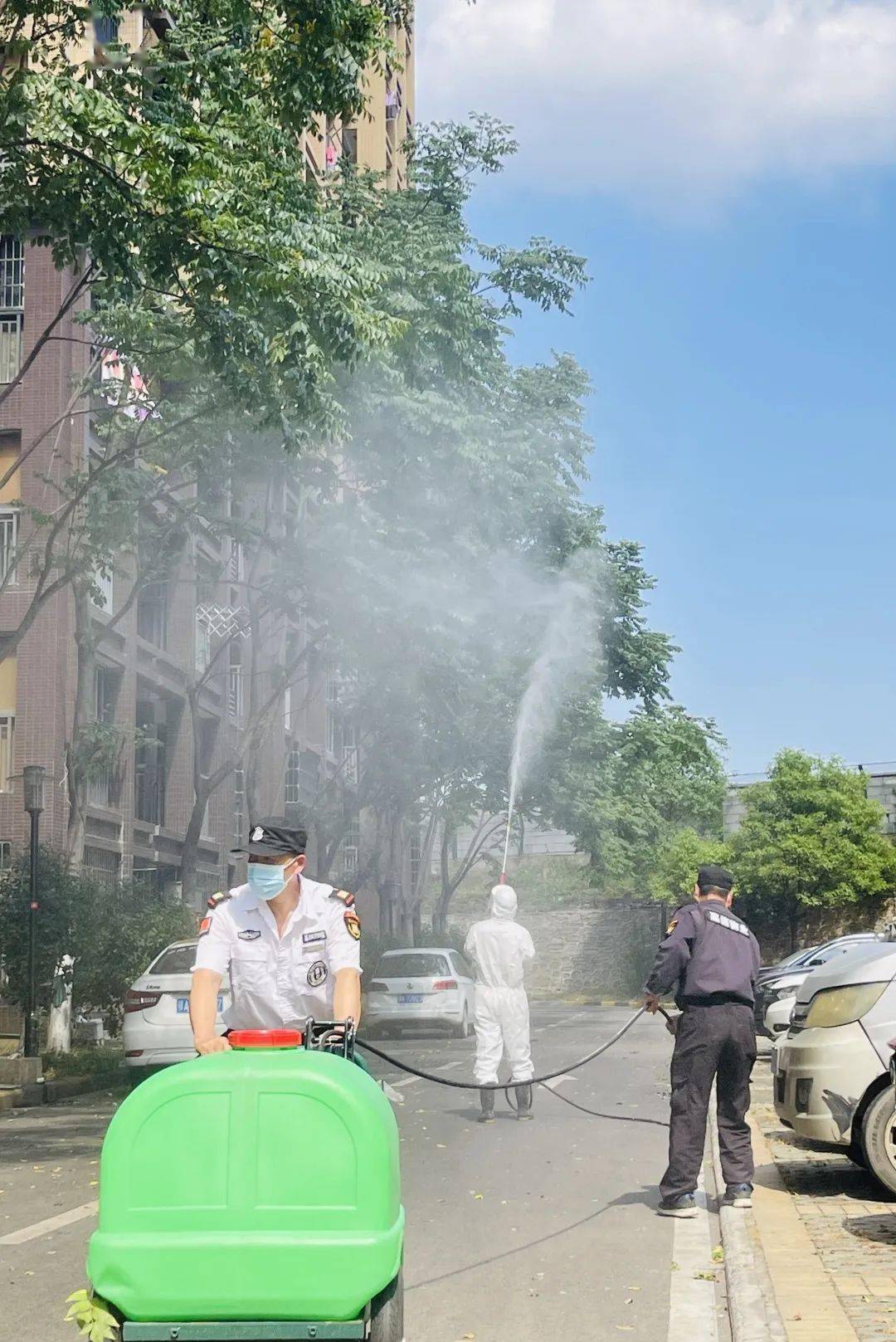 【会员】 嘉信物业丨树上“滴油”不用慌，嘉信除虫来帮忙