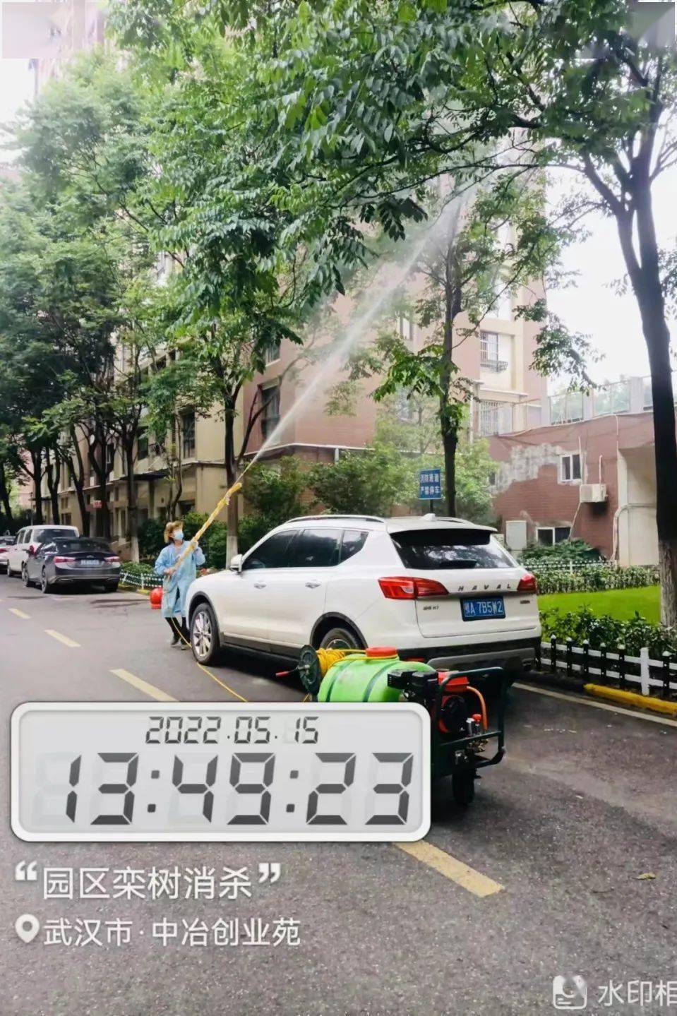 【会员】 嘉信物业丨树上“滴油”不用慌，嘉信除虫来帮忙