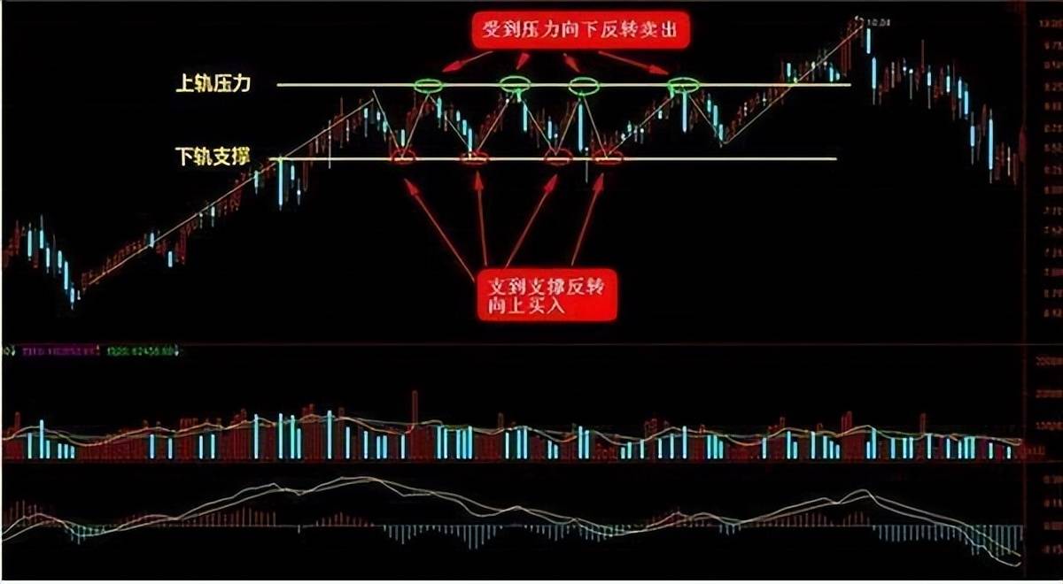 北大女博士罕见发声：不外传的“波段操作”，该如何更好使用呢？