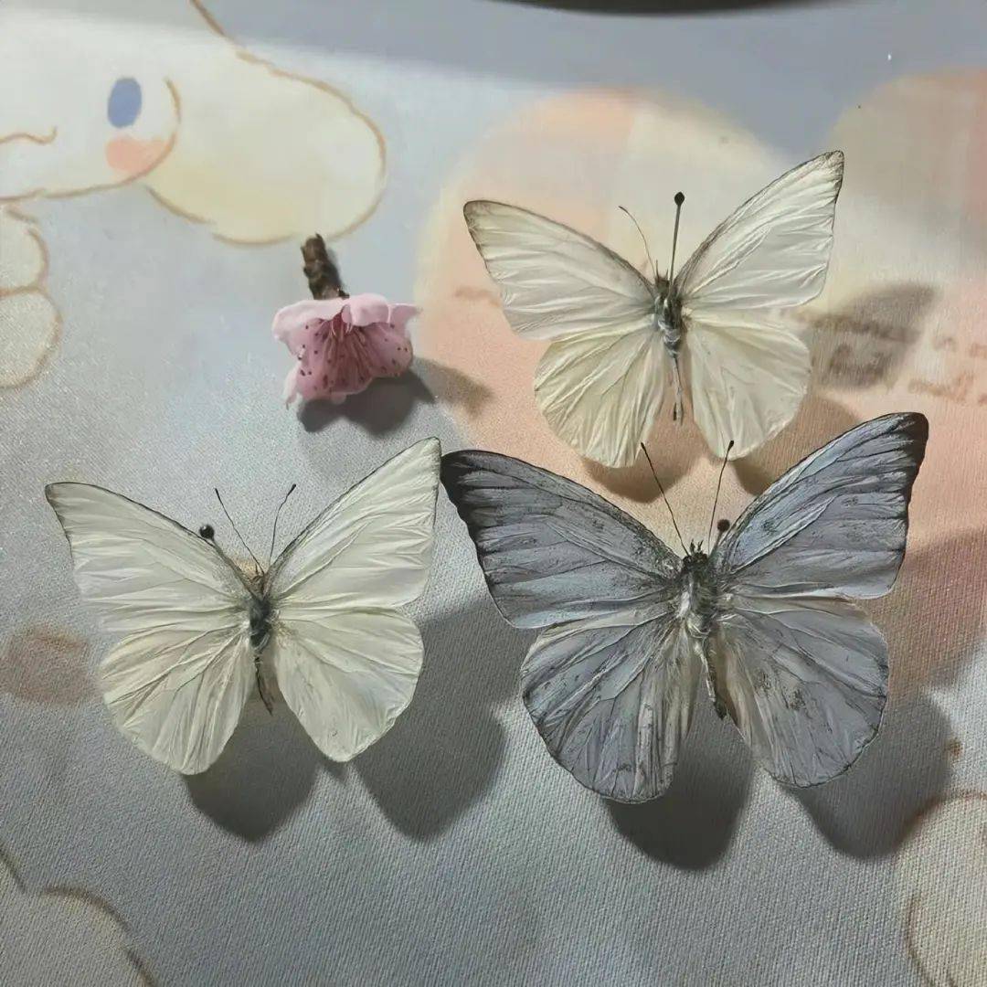 那些磕磕碰碰的现实文案