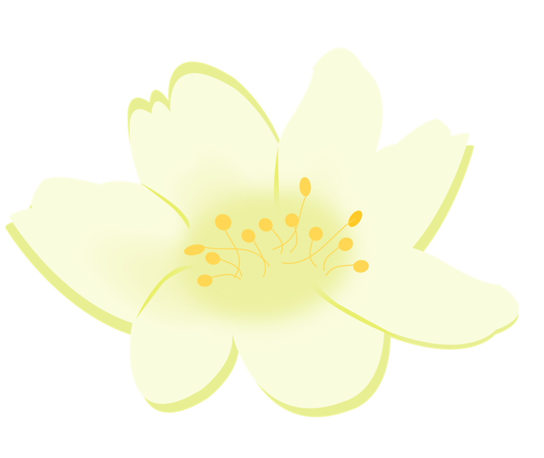 【本月花讯】五月花讯