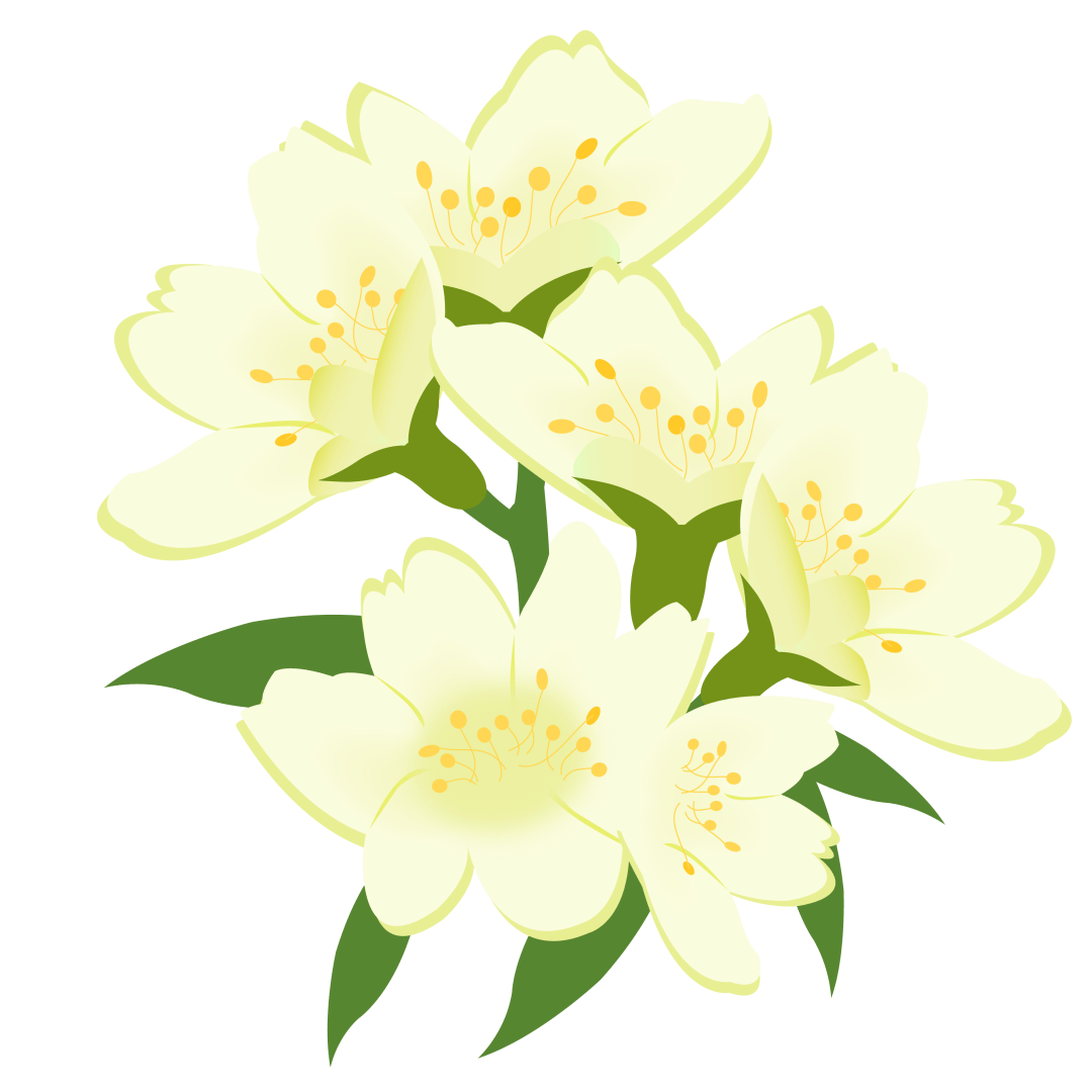 【本月花讯】五月花讯