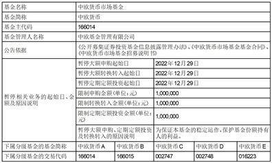 中欧货币市场基金暂停代销渠道大额申购、 转换转入及定期定额投资业务的公告