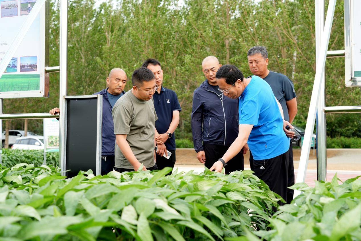 共青农场有限公司：田间培训为种植户“充电蓄能”