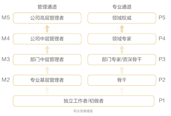 证券之星ESG观察｜海康威视：科技为善，引领智能物联新未来