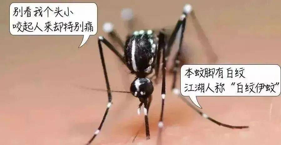 风险增大！深圳疾控：去这247处要小心！张文宏首次发声