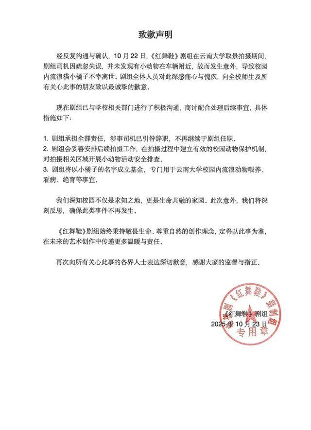 《红舞鞋》剧组在高校拍摄时撞死流浪猫，剧组凌晨致歉：涉事司机引咎辞职，将以小猫名字成立基金