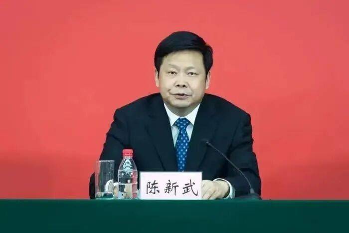 陈新武任重庆市委副书记