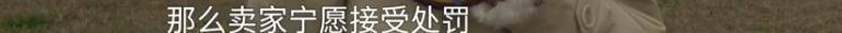 消费者11.11元秒杀小米冰箱遭拒发，客服回应：系统配置错误，补偿30元！
